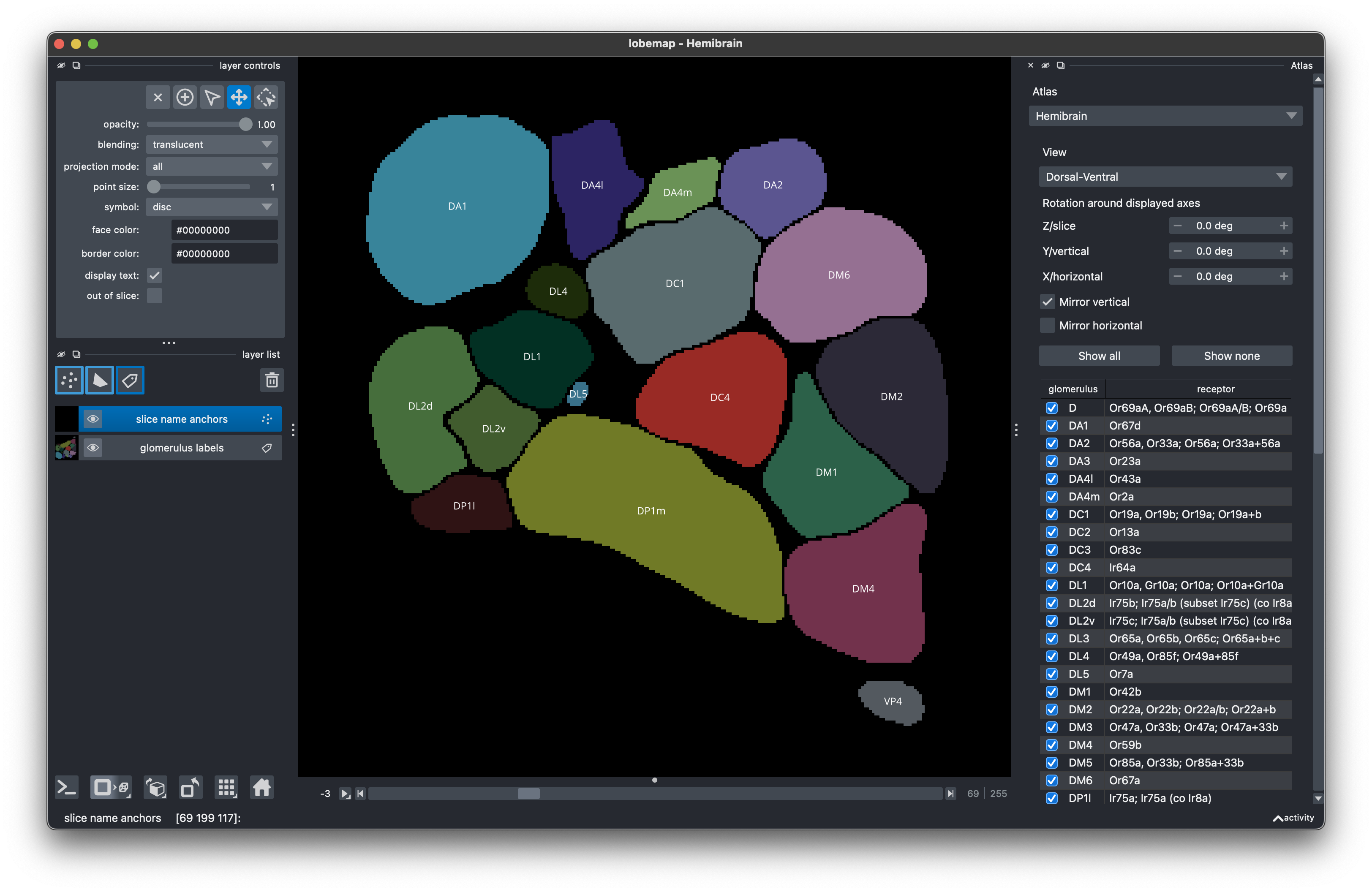 Hemibrain atlas in lobemap