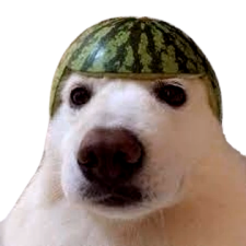 Avatar for melon-dog from gravatar.com