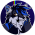 Avatar for edhyjox from gravatar.com
