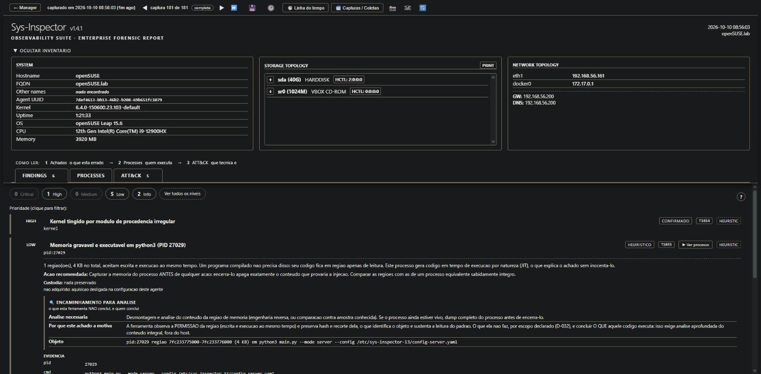 Report, finding with the referral for analysis