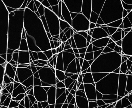 ridge-detector · PyPI