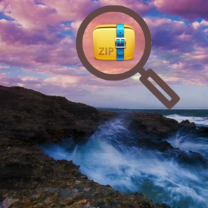 ZipSteganograPy logo