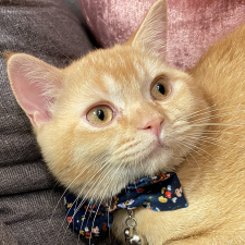 Avatar for Yuru Shao from gravatar.com