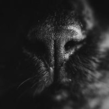 Avatar for Krzysztof Gonciarz from gravatar.com