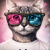 Avatar for JosheGatito from gravatar.com