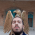 Avatar for hamidreza.jahanshahi01 from gravatar.com