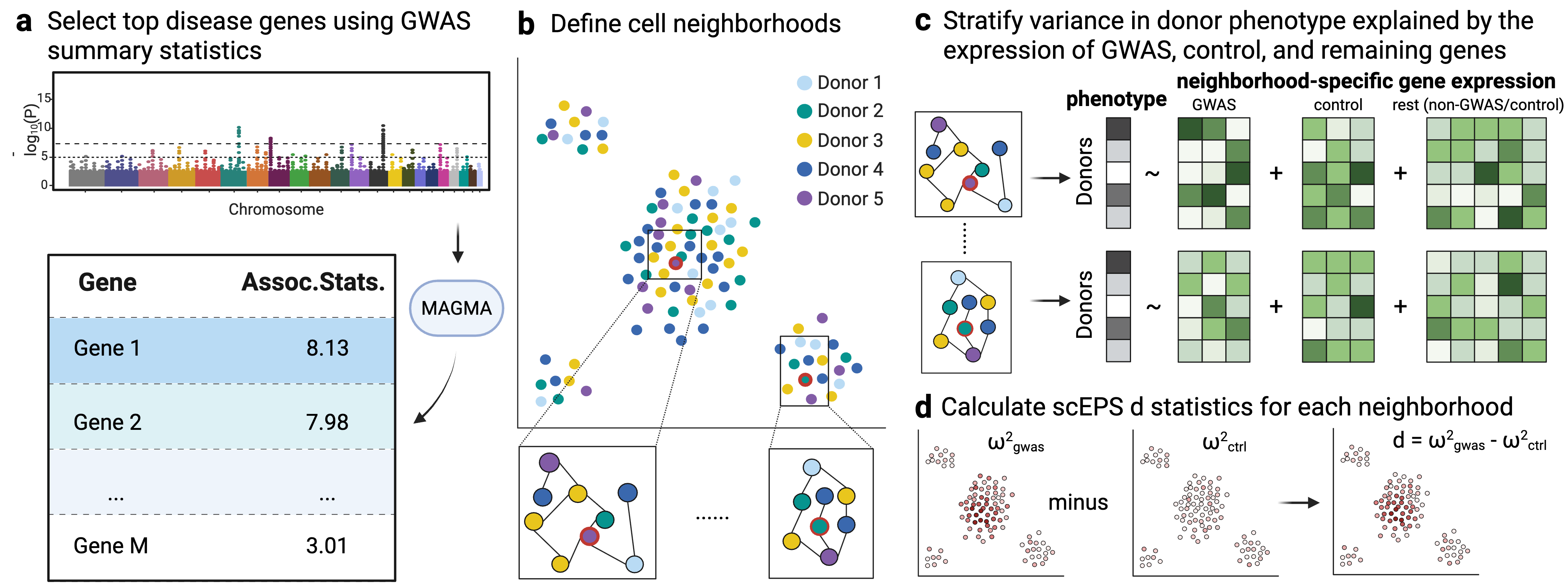 scEPS illustration