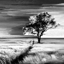 Avatar for Le Minaw from gravatar.com