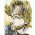 Avatar for dot-gabriel-ferrer from gravatar.com