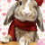 Avatar for pypiyoung from gravatar.com