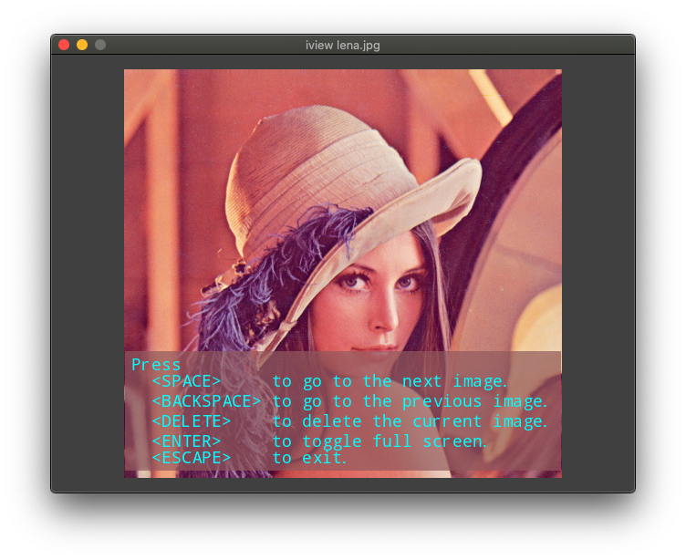 image-viewer · PyPI