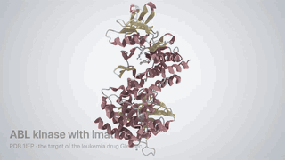 A guided tour of ABL kinase with imatinib