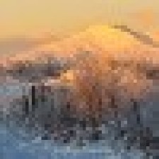 Avatar for Jeff Leva  from gravatar.com