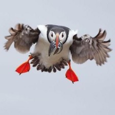 Avatar for Jeremy Falling from gravatar.com