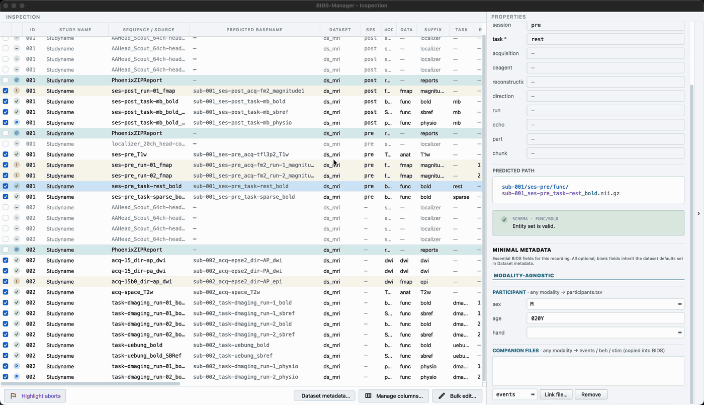 The inventory table: every series, its proposed BIDS name, and the properties panel
