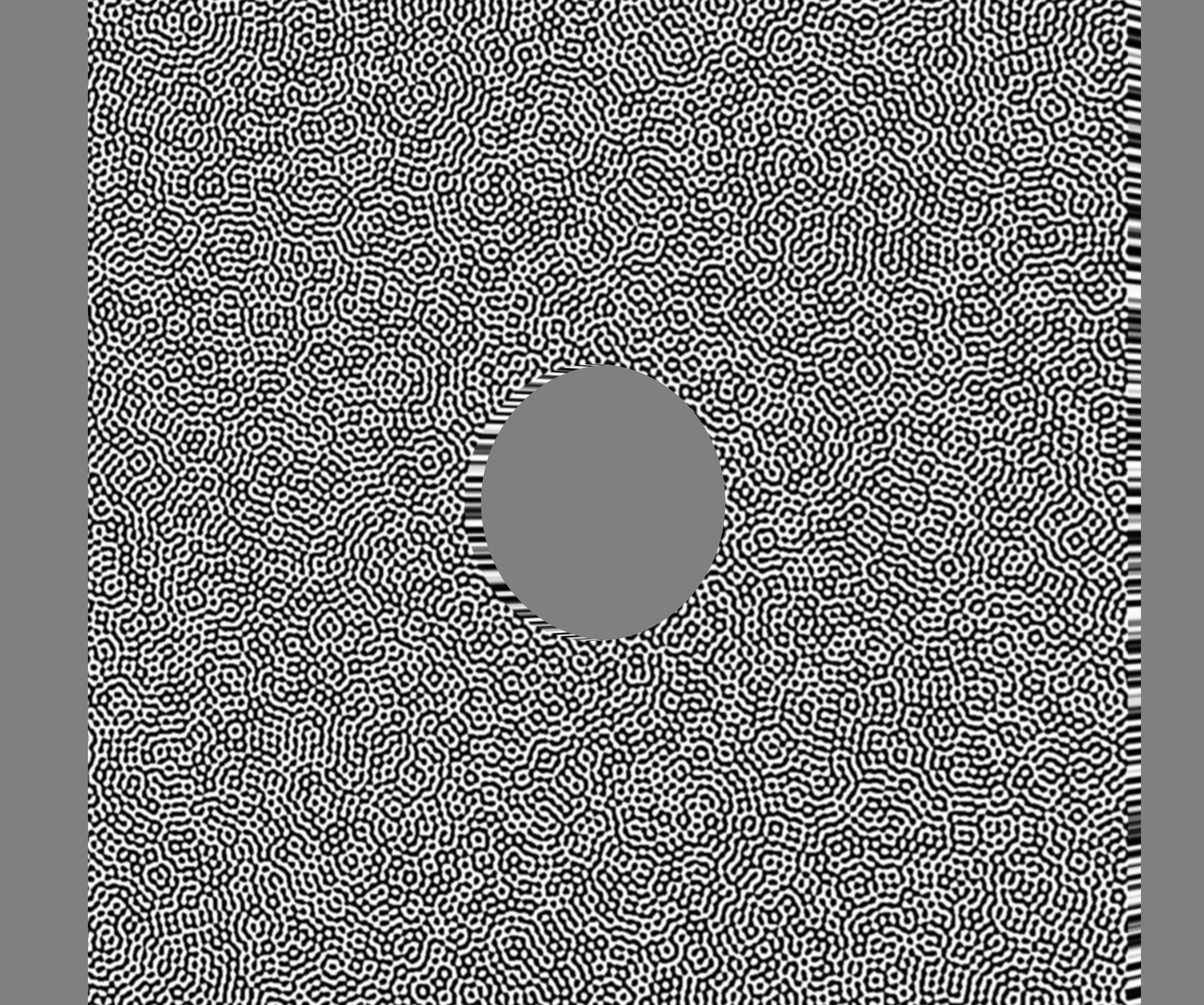 DIC Camera 1