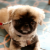 Avatar for banuni from gravatar.com
