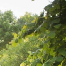 Avatar for Matt Vollrath from gravatar.com