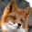Avatar for Askadias from gravatar.com