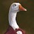 Avatar for Jgprog117 from gravatar.com