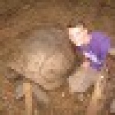 Avatar for sam partington from gravatar.com