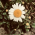 Avatar for sumam from gravatar.com