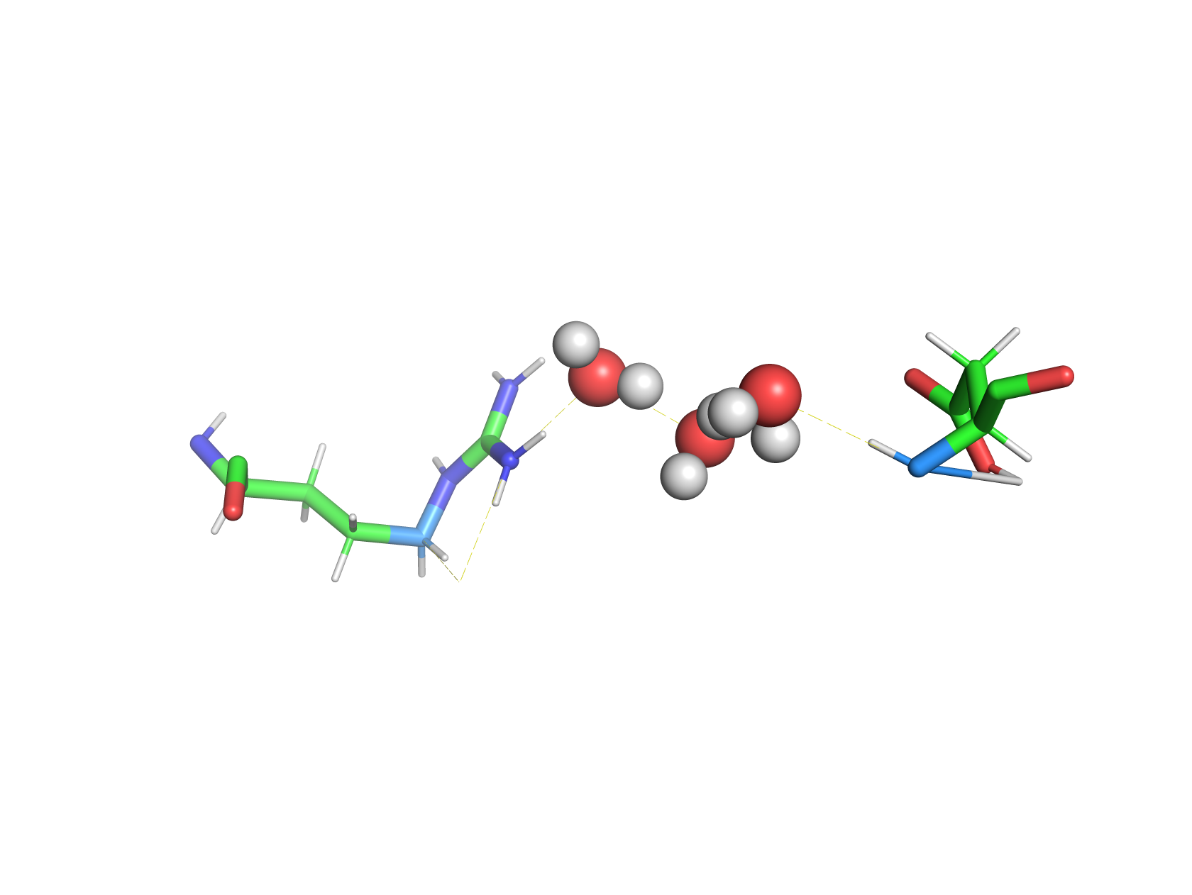 Water Bridge in PDB Entry 6RSA