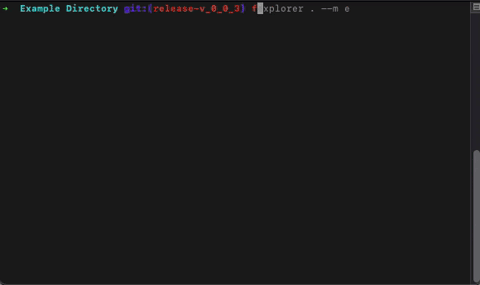 fexplorer