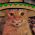 Avatar for espinafr from gravatar.com