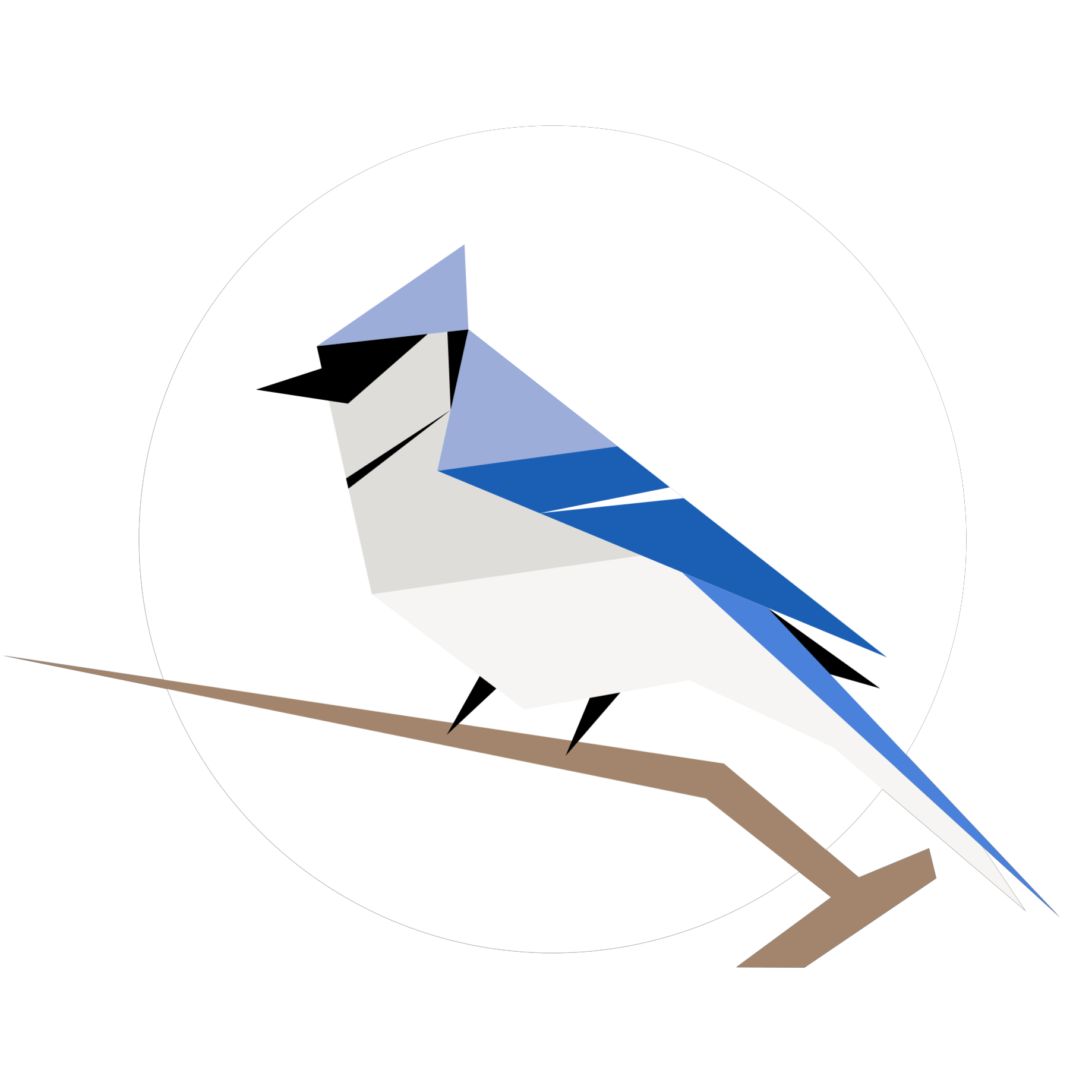 birdnet documentation