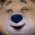 Avatar for zoola969 from gravatar.com