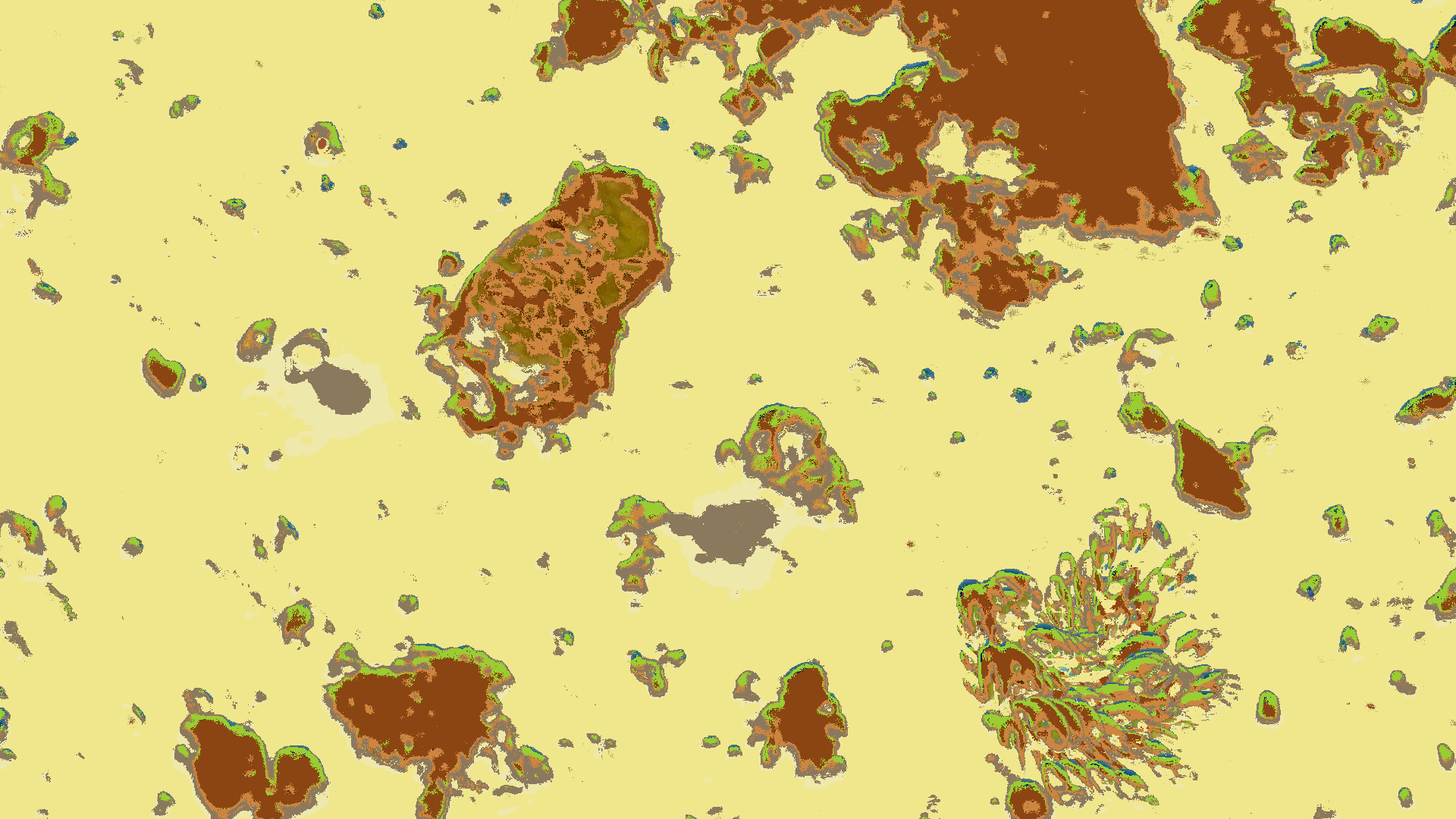 Safari