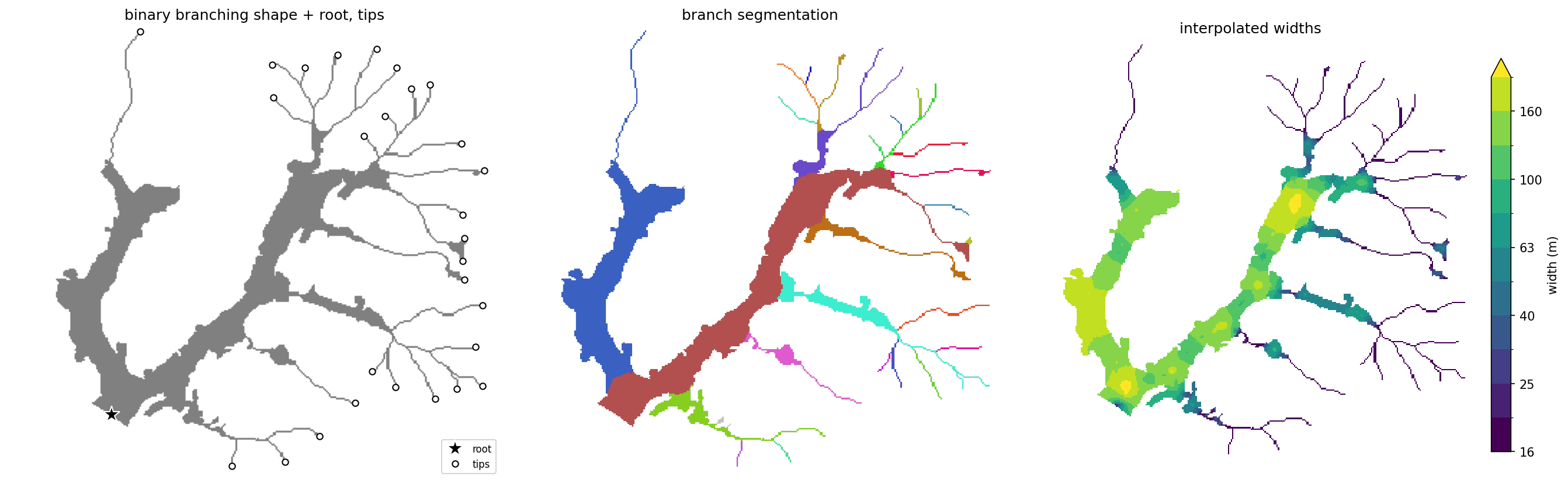 graphical abstract