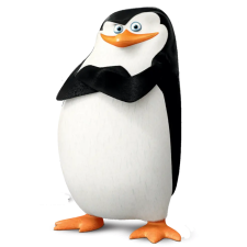 Avatar for Paulo Kuga from gravatar.com