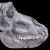 Avatar for rordenlab from gravatar.com