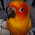 Avatar for yiprograms from gravatar.com