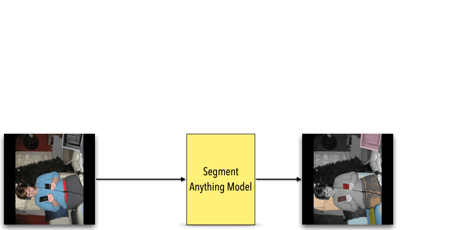 Equivariant adaptation of Segment-Anything Model