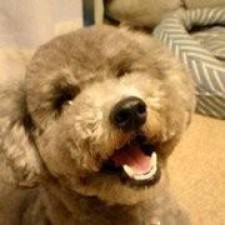 Avatar for atsuo ishimoto from gravatar.com