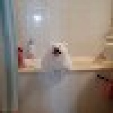 Avatar for Jay Cho from gravatar.com