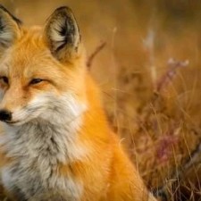 Avatar for brian ndungu from gravatar.com