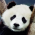 Avatar for sjml from gravatar.com