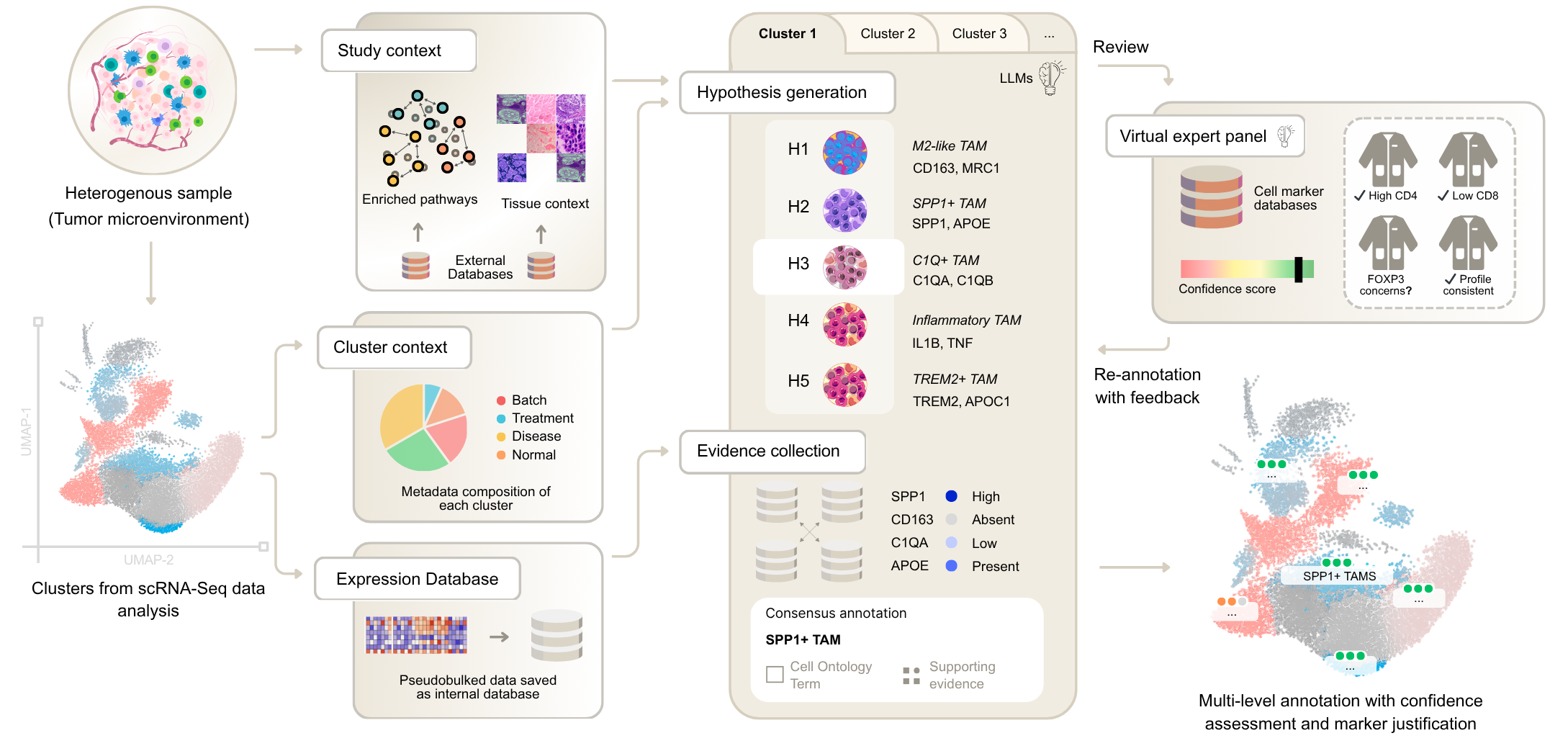 CyteType multi-agent AI architecture for single-cell RNA-seq cell type annotation