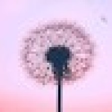 Avatar for Serban Tudor from gravatar.com