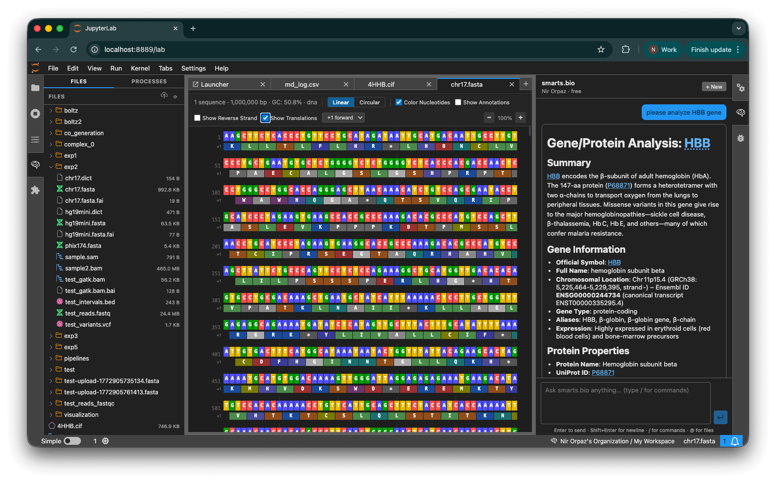 Colorized FASTQ sequence viewer with nucleotide and translation display