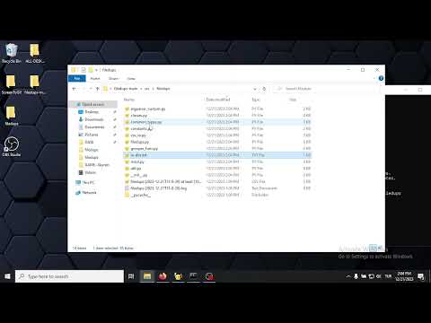 How to use filedups on Windows