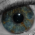 Avatar for vmdocua from gravatar.com
