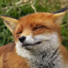 Avatar for James Calo from gravatar.com