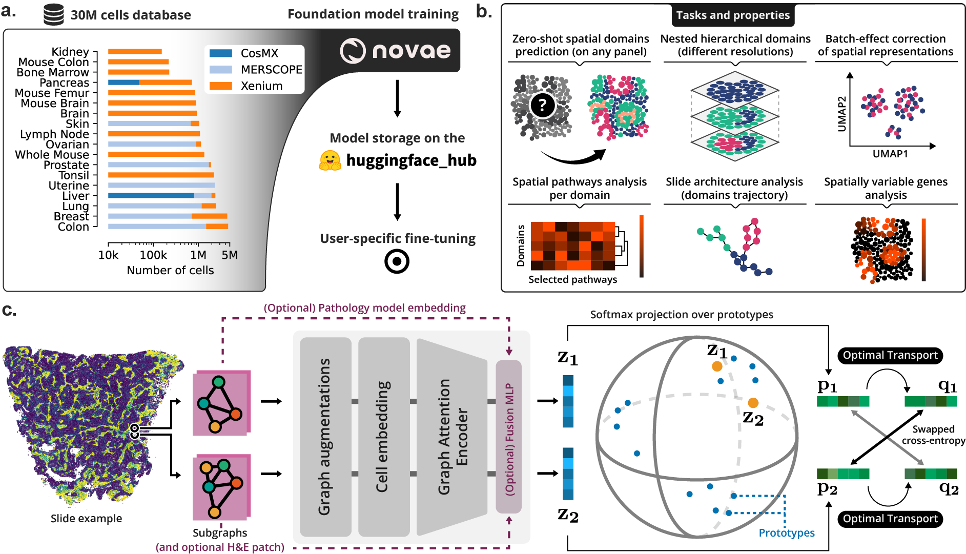 novae_overview
