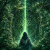 Avatar for nikoloside from gravatar.com