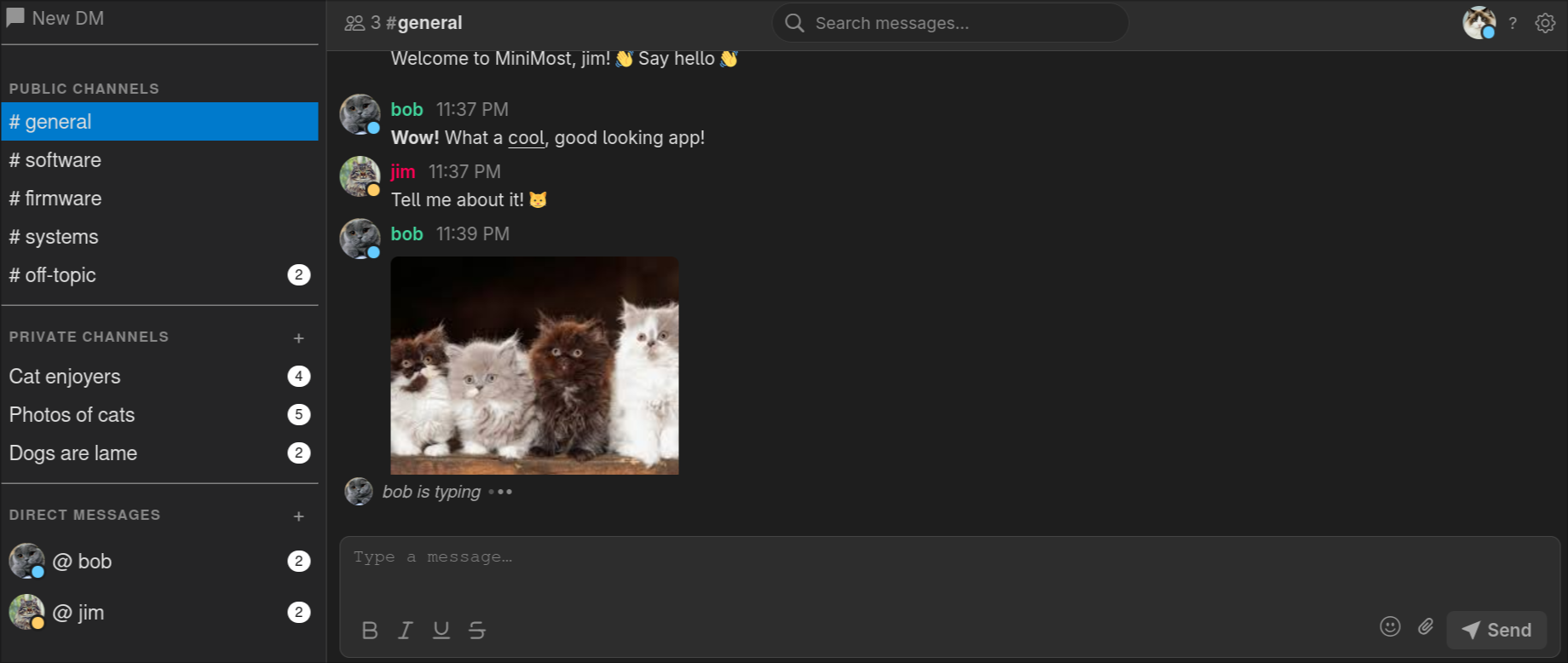 Chat interface